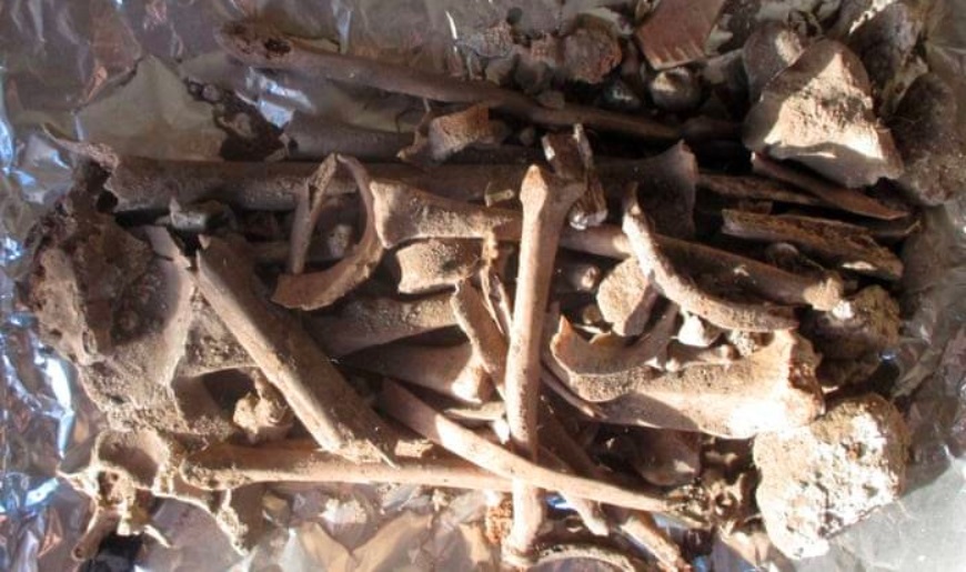 На Света Гора пронајдени коски на жена, археолозите тврдат дека ѝ припаѓаат на српска царица